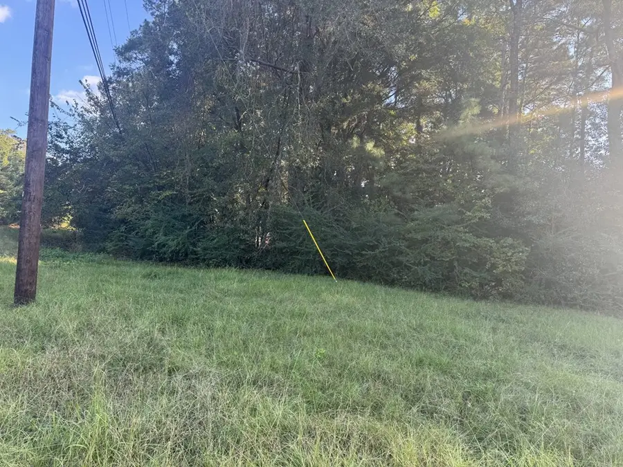 TBD Old Tyler Road, Nacogdoches, TX 75964 - #3