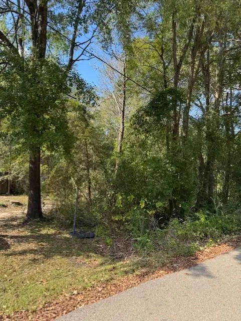 113 Arizona Avenue, Huntington, TX 75949