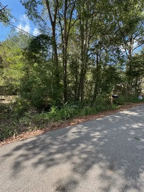 113 Arizona Avenue, Huntington, TX 75949 - #2