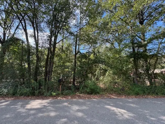 113 Arizona Avenue, Huntington, TX 75949 - #3