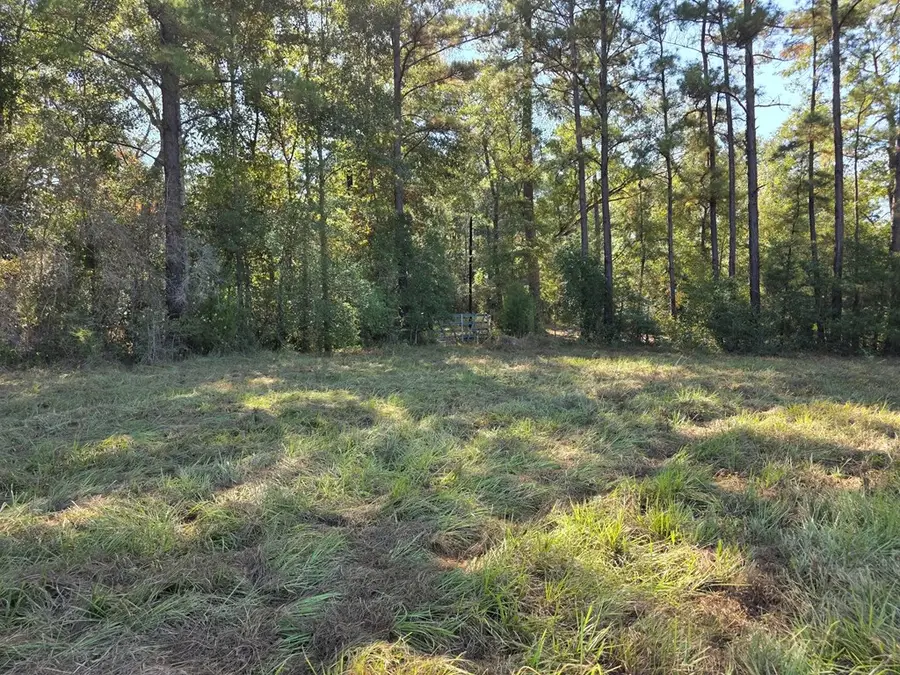 28.795 AC County Road 108 N, Jasper, TX 75951 - #2