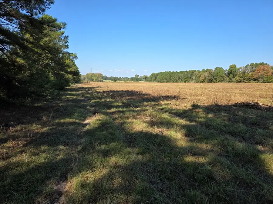 28.795 AC County Road 108 N, Jasper, TX 75951 - #3