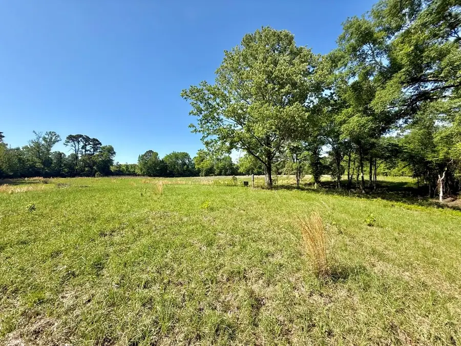 250 Cane Lane, Milam, TX 75959 - #2