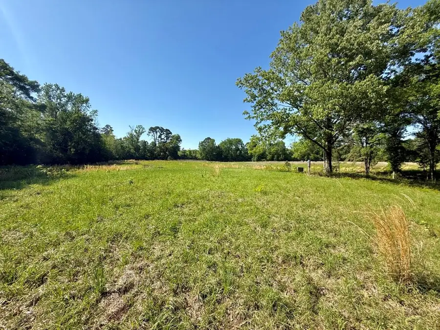 250 Cane Lane, Milam, TX 75959 - #3