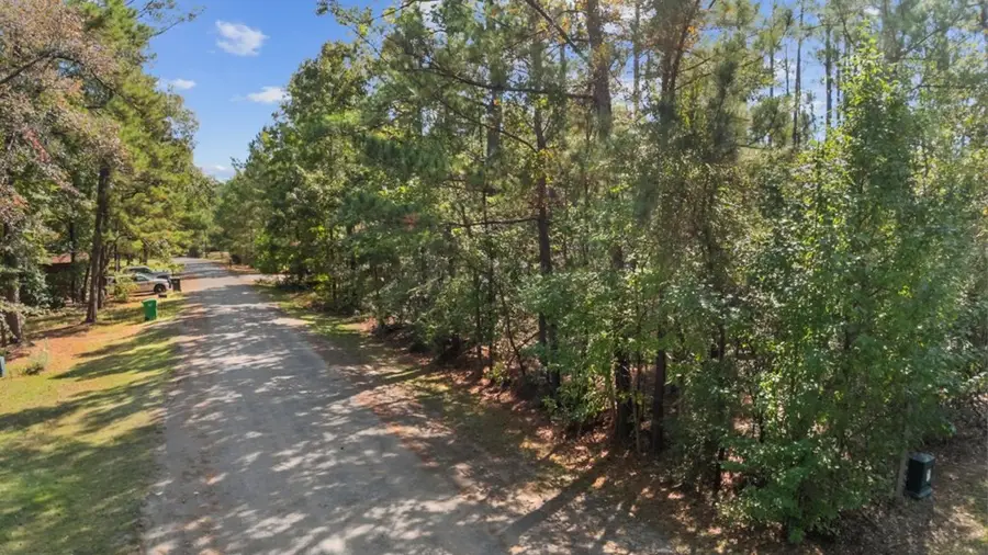 185 Moss Lane, Brookeland, TX 75931 - #2