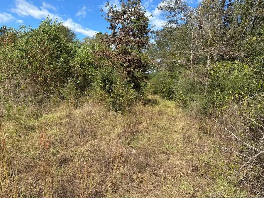 3895 St Hwy 21 E, Hemphill, TX 75948 - #2