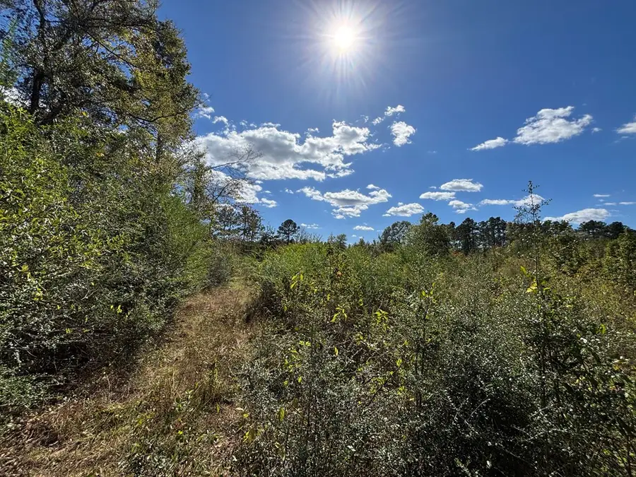 3895 St Hwy 21 E, Hemphill, TX 75948 - #3