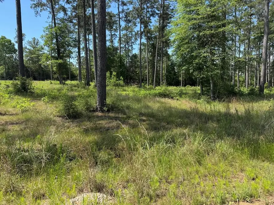 010 Private Rd 6028, Brookeland, TX 75931 - #2