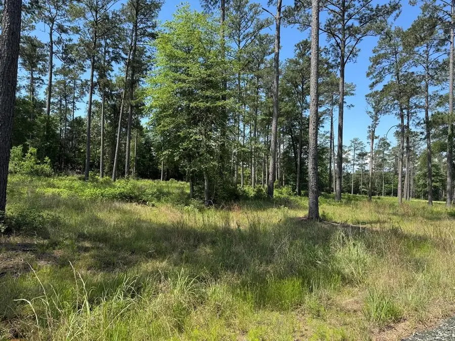 010 Private Rd 6028, Brookeland, TX 75931 - #3