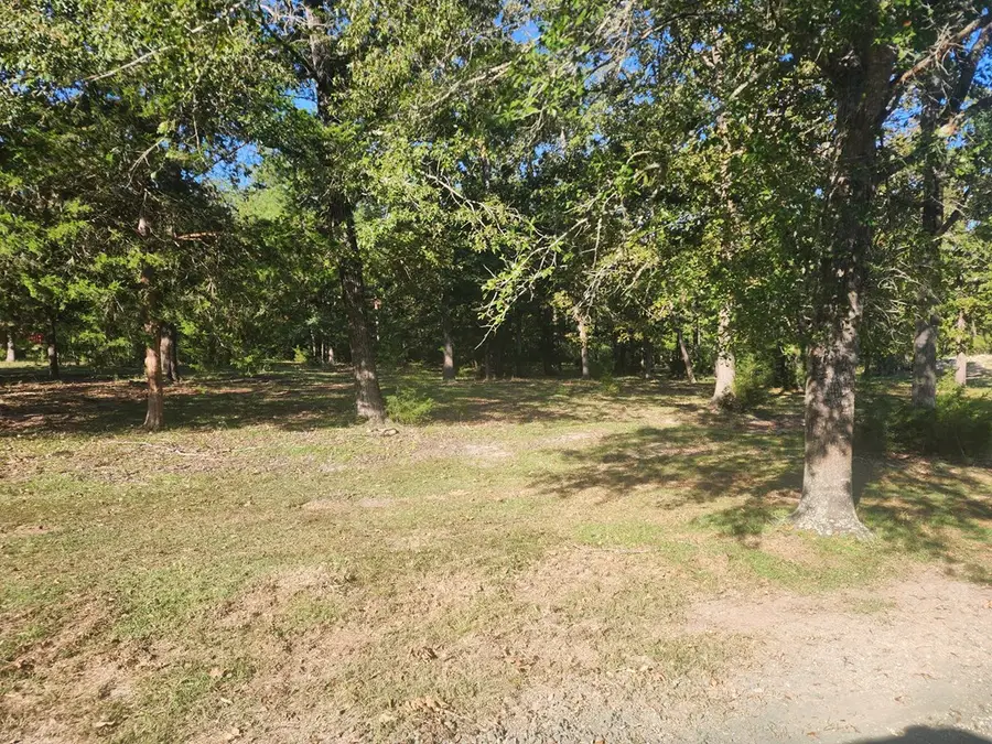 13362 Rr 255 W, Jasper, TX 75951 - #3