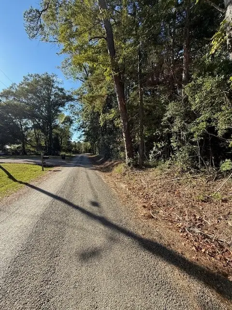 AB20 E Issacs T County Road 355, Jasper, TX 75951 - #2