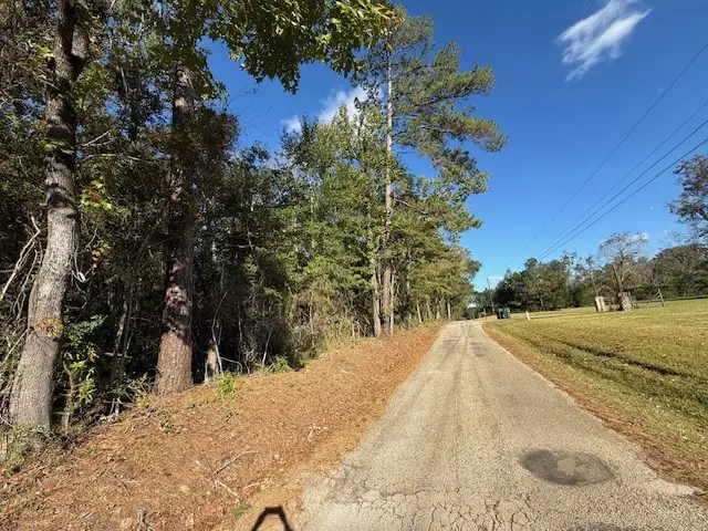 AB20 E Issacs T County Road 355, Jasper, TX 75951 - #3