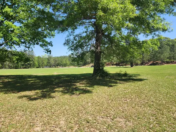 9 AC +/- Recreational Road 255, Jasper, TX 75951