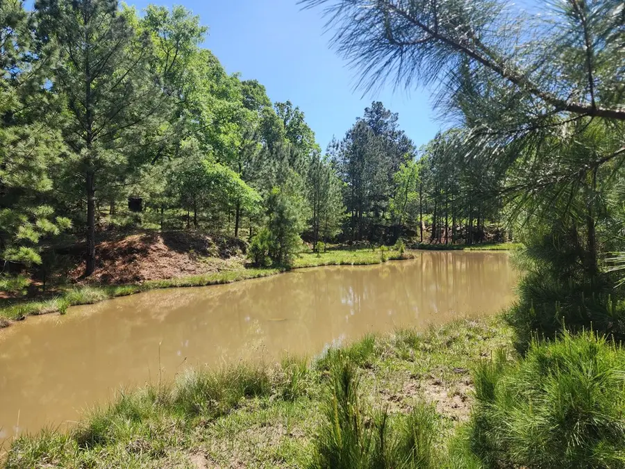 9 AC +/- Recreational Road 255, Jasper, TX 75951 - #2