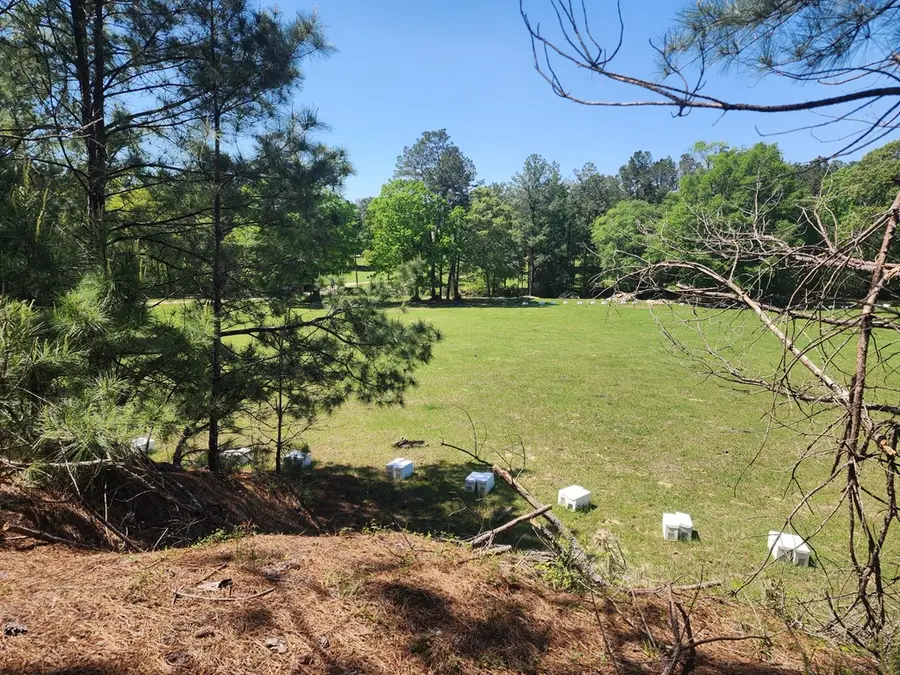 9 AC +/- Recreational Road 255, Jasper, TX 75951 - #3