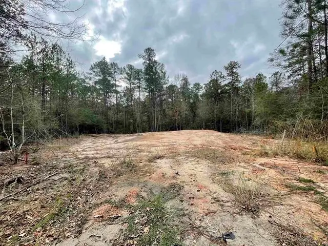 145 Aztec Lane, Brookeland, TX 75931 - #2