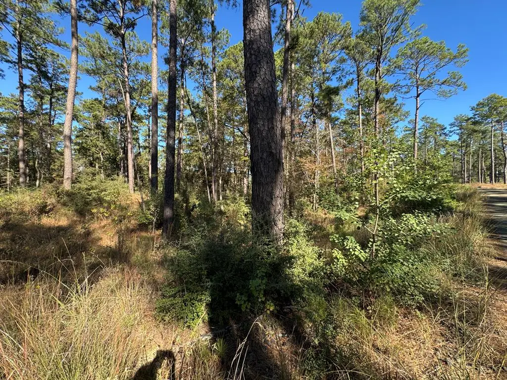 016 Pr 6028, Brookeland, TX 75931 - #1