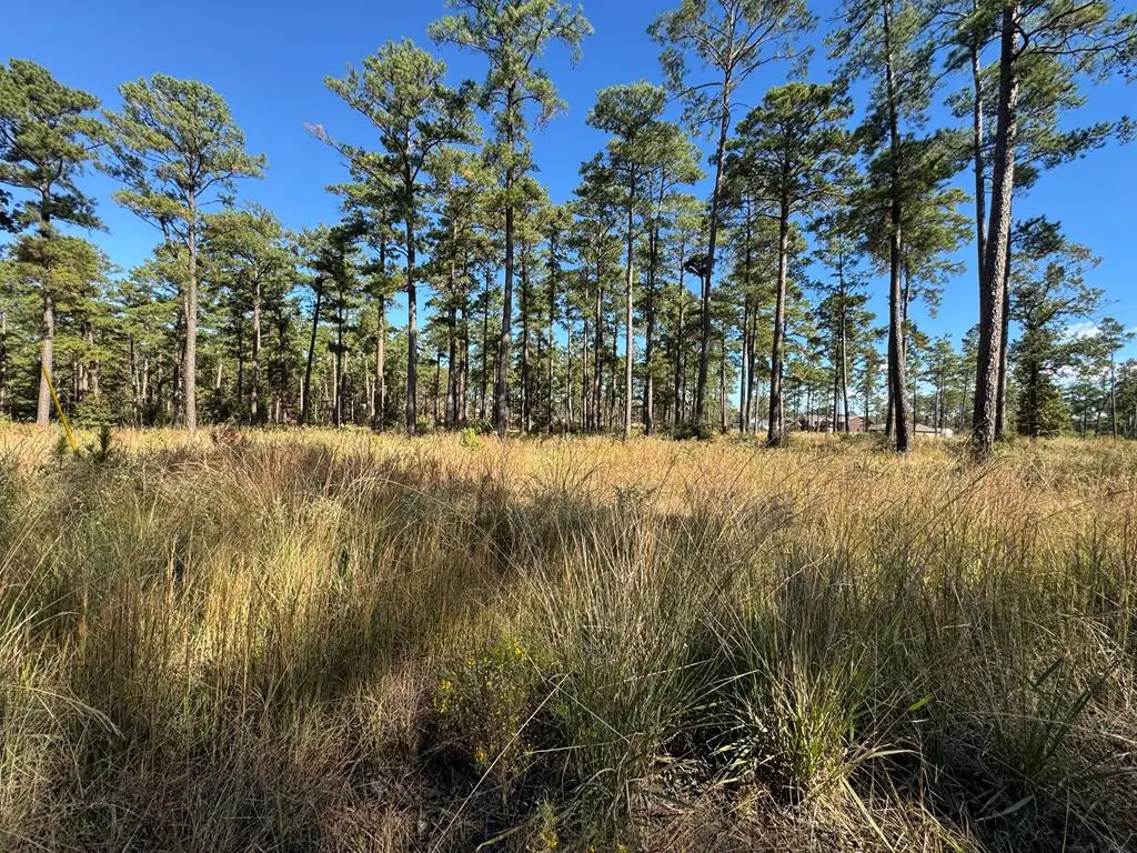 033 Pr 6026, Brookeland, TX 75931 - #1