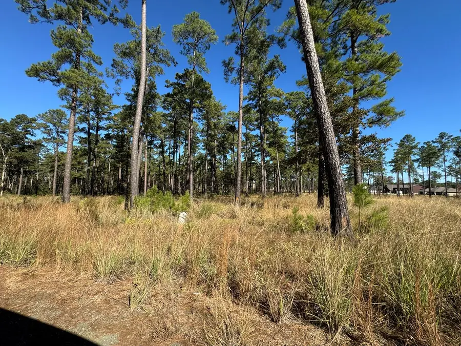 033 Pr 6026, Brookeland, TX 75931 - #2