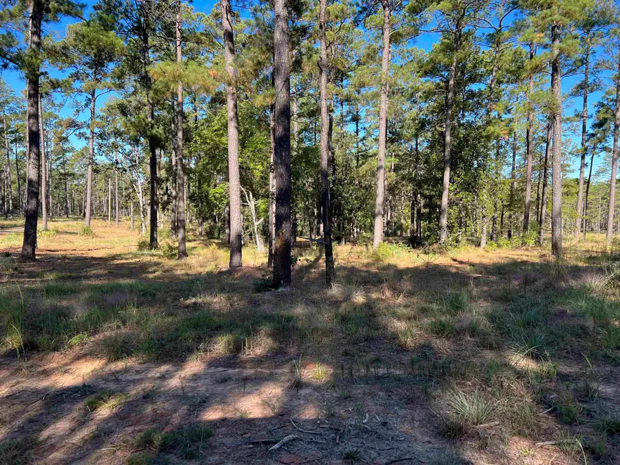 051 Pr 6028, Brookeland, TX 75931 - #2