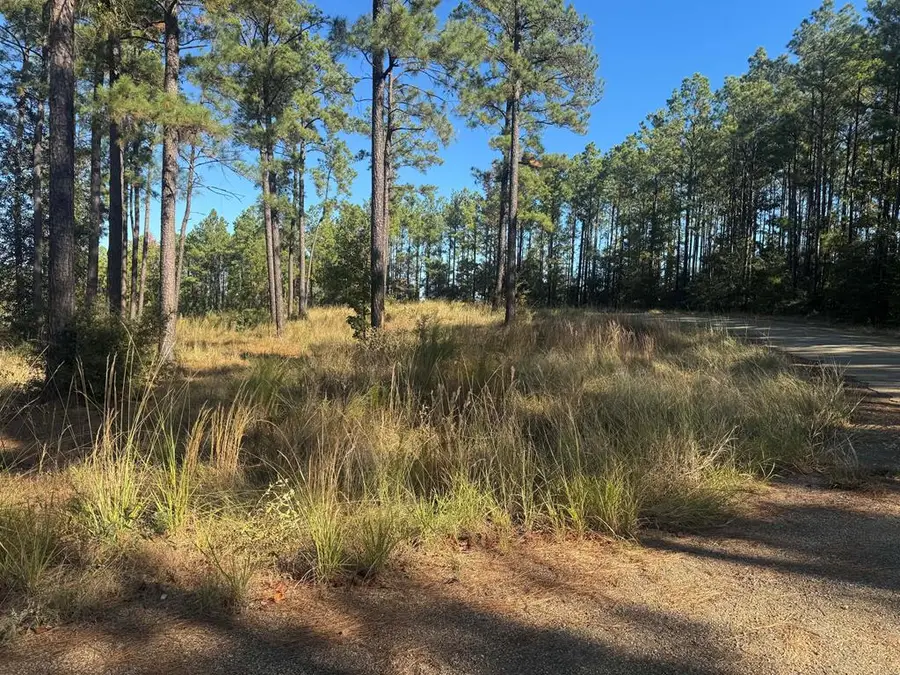 063 Private Rd 6026, Brookeland, TX 75931 - #2