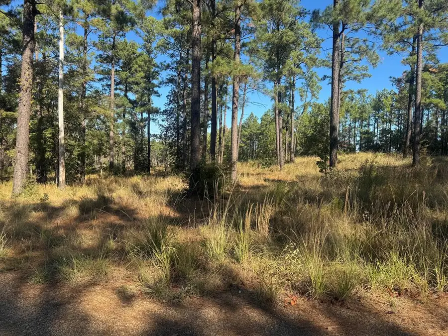 063 Private Rd 6026, Brookeland, TX 75931 - #3