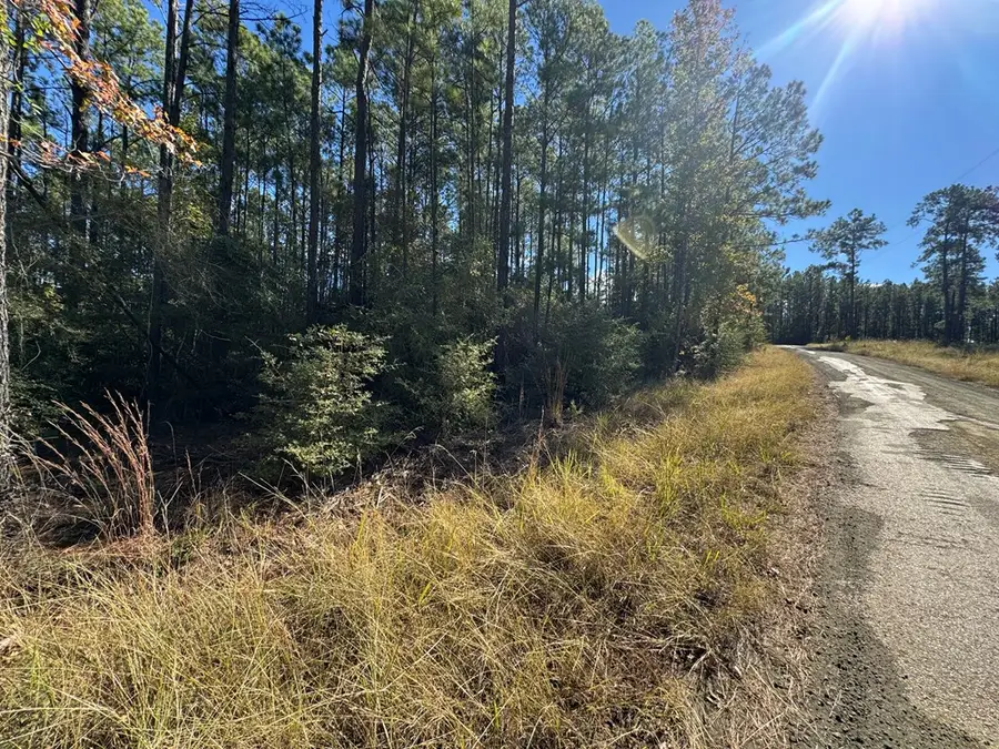 092 Pr 6026, Brookeland, TX 75931 - #2