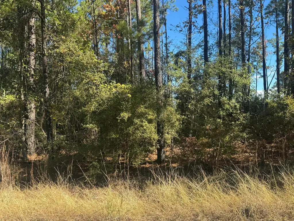 093 Pr 6026, Brookeland, TX 75931 - #1