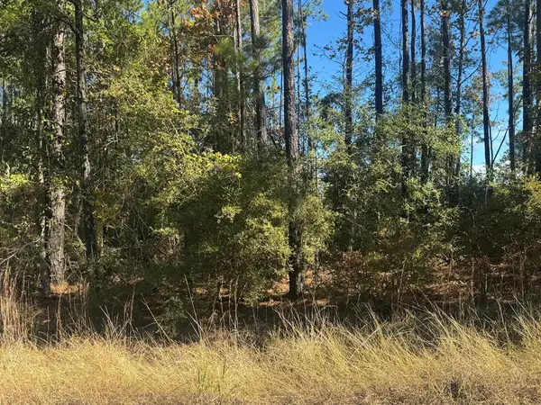 093 Pr 6026, Brookeland, TX 75931