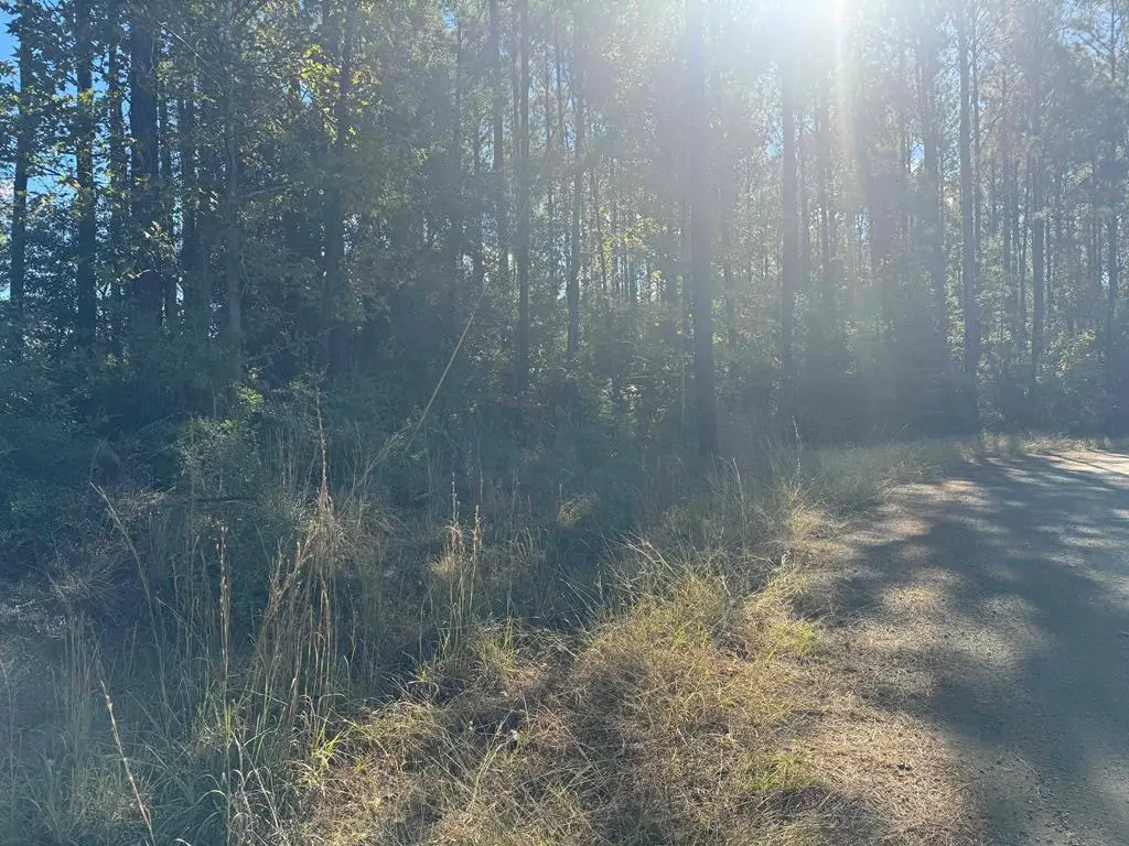 095 Pr 6026, Brookeland, TX 75931 - #1