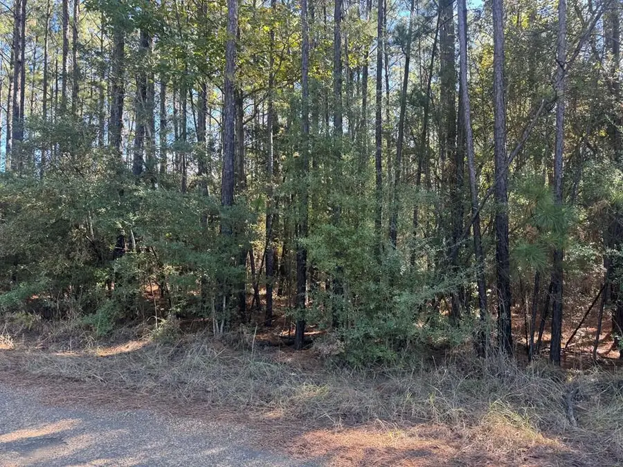 095 Pr 6026, Brookeland, TX 75931 - #2