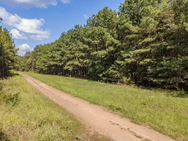 Parcel #28382 County Road 403, San Augustine, TX 75972