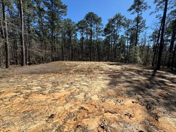 277 Brentwood Drive, Brookeland, TX 75931