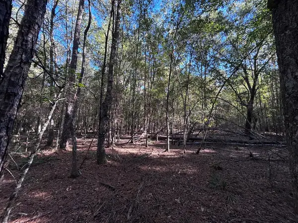 LOT 16 Hackberry, Village Mills, TX 77663