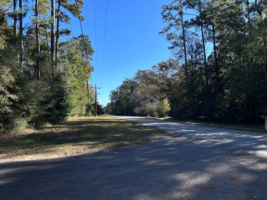 LOT 16 Hackberry, Village Mills, TX 77663 - #3