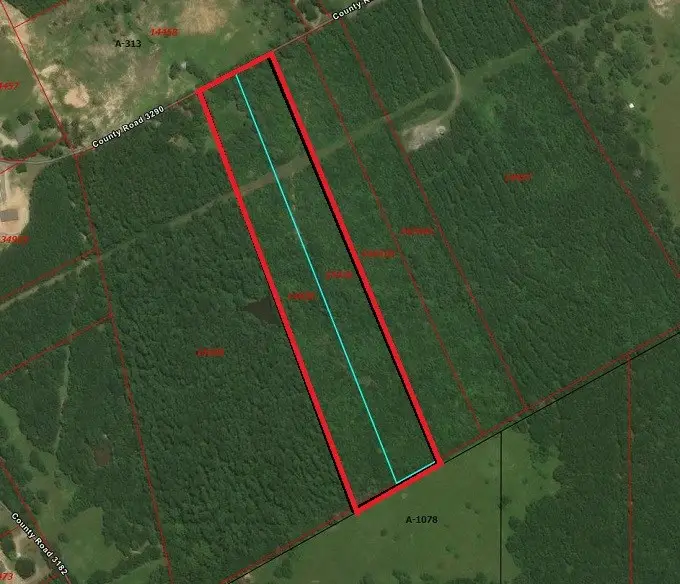 378 County Road 3290, Joaquin, TX 75954 - #2