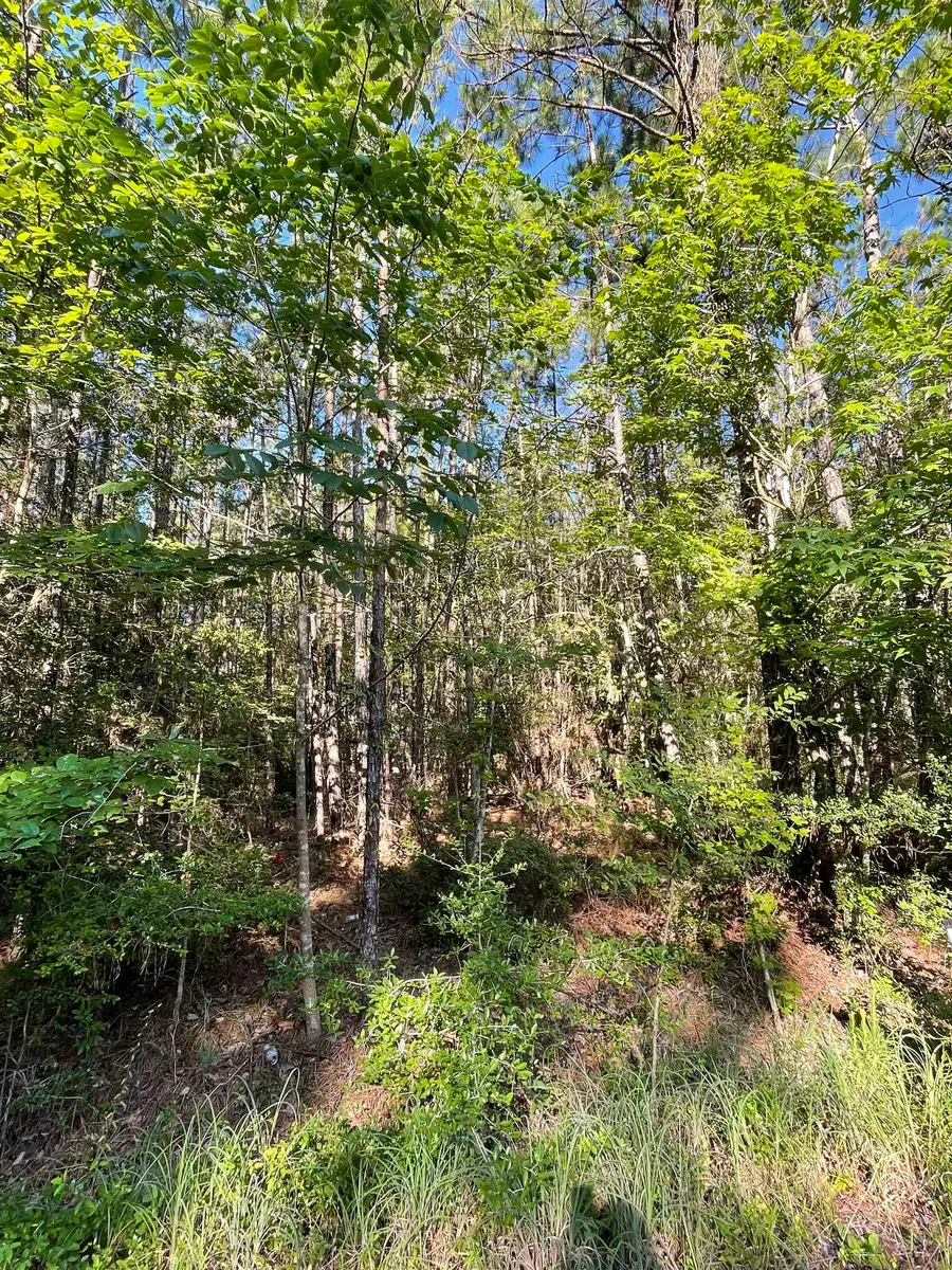 115 Glenwood Court, Brookeland, TX 75931 - #2