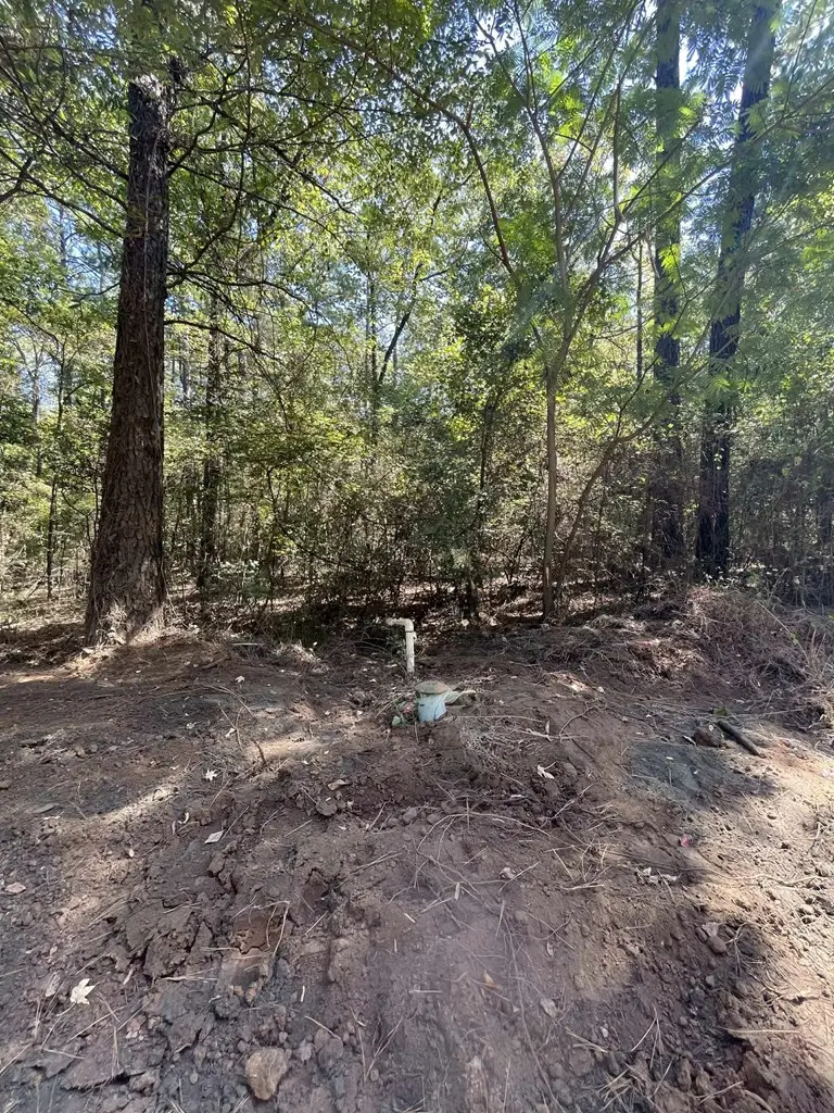 R000065761 Telephone Road, Milam, TX 75959 - #2