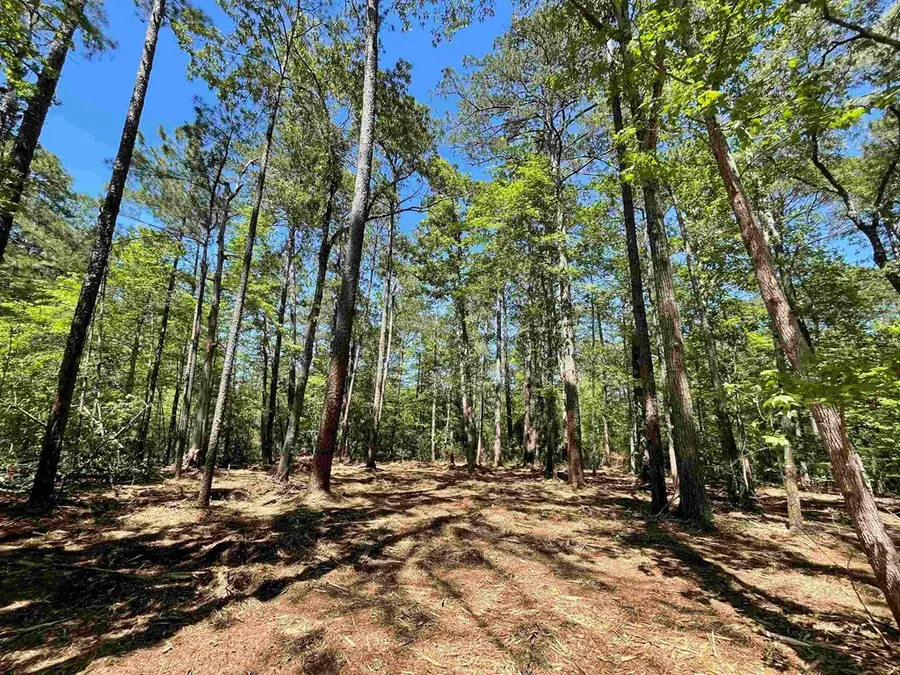 237 Senita Drive, Brookeland, TX 75931 - #2