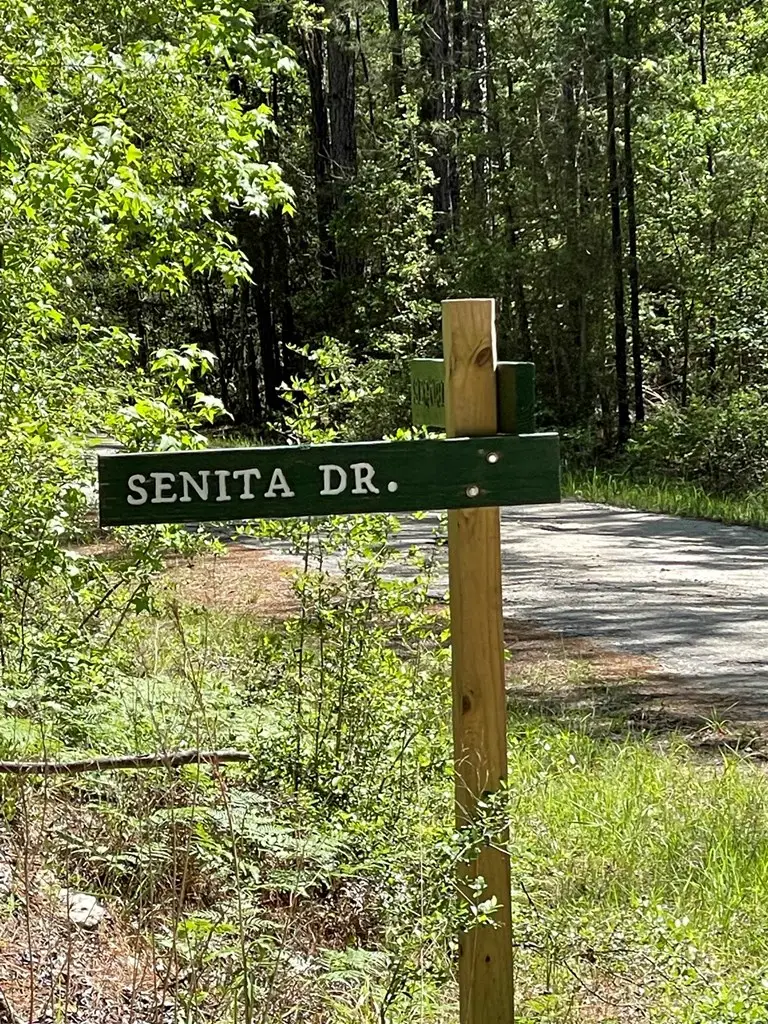 237 Senita Drive, Brookeland, TX 75931 - #3