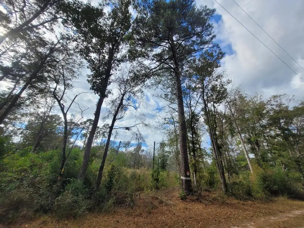 188 Pr 8040, Kirbyville, TX 75956 - #1