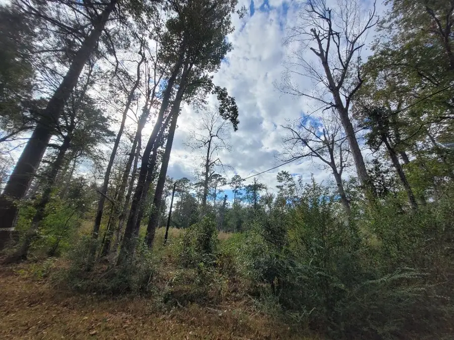188 Pr 8040, Kirbyville, TX 75956 - #3