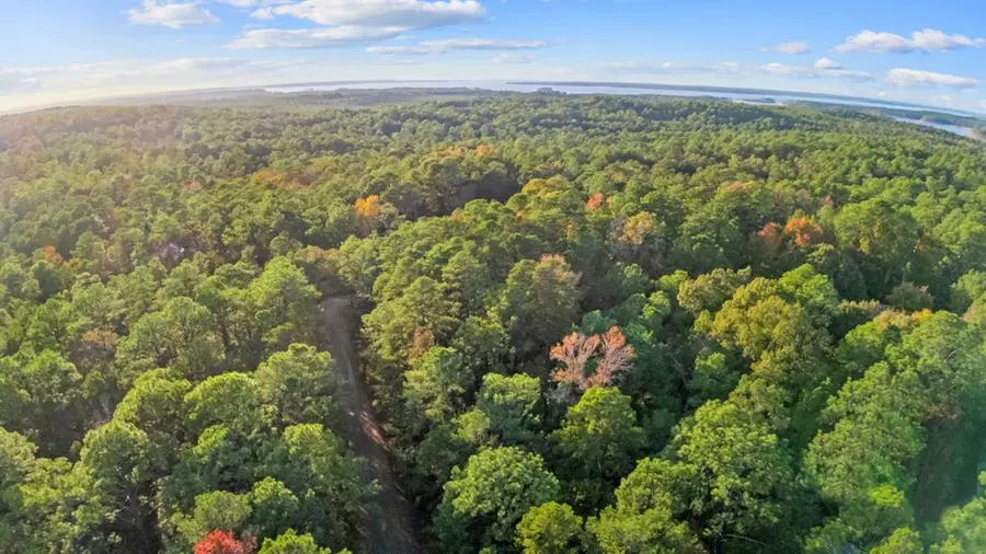 88 Deodar Drive, Brookeland, TX 75931 - #3