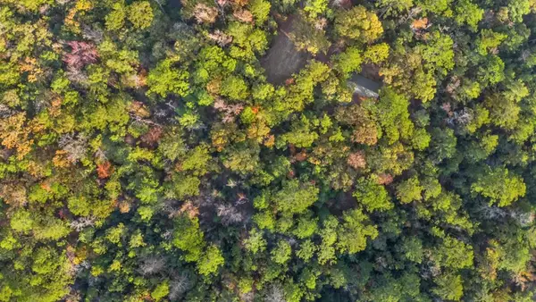 168 Delea Lane, Brookeland, TX 75931