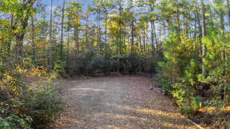 168 Delea Lane, Brookeland, TX 75931 - #2