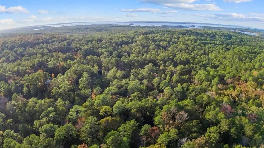 168 Delea Lane, Brookeland, TX 75931 - #3