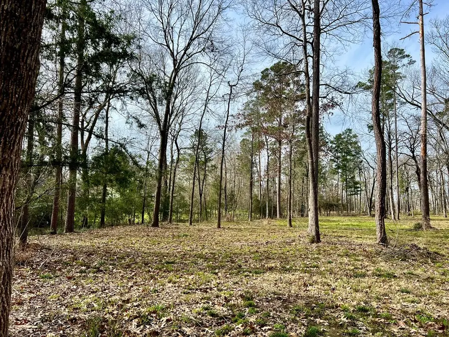 3.48 Roberts Lane, Diboll, TX 75941 - #3