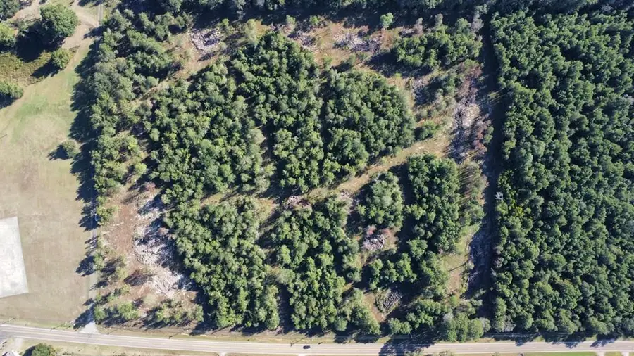 Tract 7,8 Cr 3057, Call, TX 75933 - #2