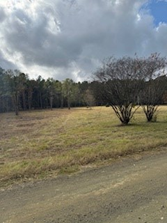 130 Richard Drive, Hemphill, TX 75948 - #2