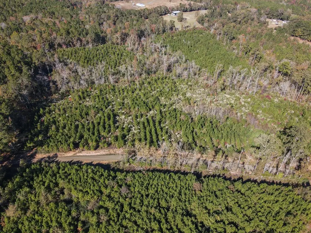 TBD County Road 412, Bronson, TX 75972 - #1